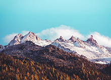 新葡京娱乐城官网-郑智联赛冠军奖杯停留11个 明年再战弥补遗憾？